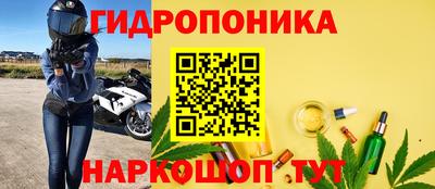 мяу мяу мука Баксан