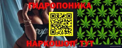 мяу мяу мука Баксан